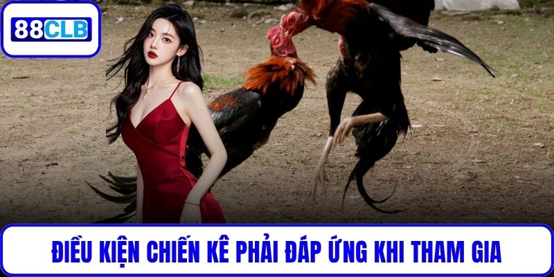 Đá Gà Cựa Sắt – Đỉnh Cao Giải Trí Được Yêu Thích Tại 88CLB Điều kiện chiến kê phải đáp ứng khi tham gia