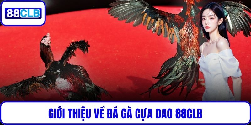 Giới thiệu về đá gà cựa dao 88CLB