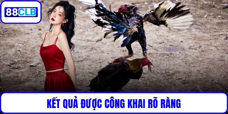 Đá Gà Cựa Sắt – Đỉnh Cao Giải Trí Được Yêu Thích Tại 88CLB Kết quả được công khai rõ ràng