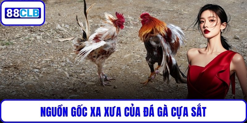 Đá Gà Cựa Sắt – Đỉnh Cao Giải Trí Được Yêu Thích Tại 88CLB Nguồn gốc xa xưa của đá gà cựa sắt